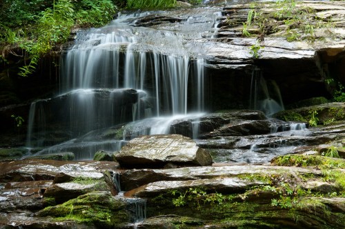 A serene waterfall cascading over smooth rocks, surrounded by lush greenery and vibrant plants.
