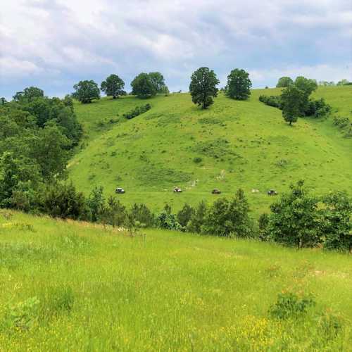 Rolling green hills with scattered trees and a few vehicles in the distance under a cloudy sky.