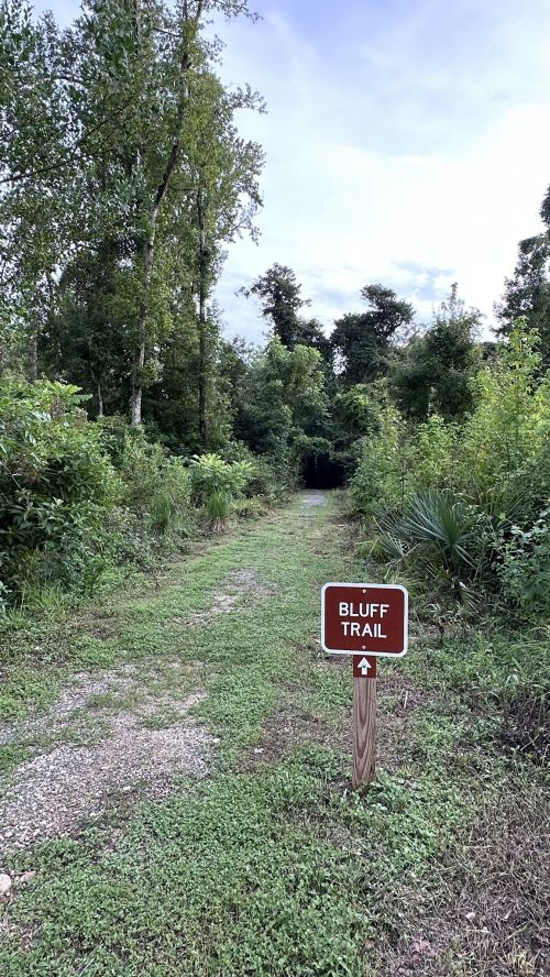 A dirt path leads into a lush green forest, marked by a sign that reads "Bluff Trail" with an arrow pointing forward.