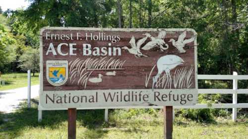 Sign for Ernest F. Hollings ACE Basin National Wildlife Refuge, featuring birds and natural scenery.