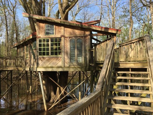 A wooden treehouse with large windows, elevated on stilts, surrounded by trees and reflecting in the water below.