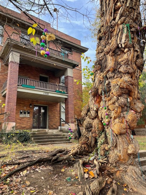 A large, textured tree trunk in front of a brick building, decorated with colorful beads and leaves.