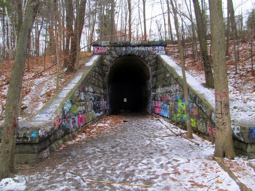 A graffiti-covered stone tunnel surrounded by trees and fallen leaves, with a snowy path leading into darkness.