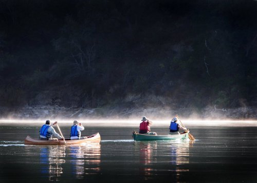 Four people in canoes paddle across a misty lake, surrounded by trees and soft morning light.