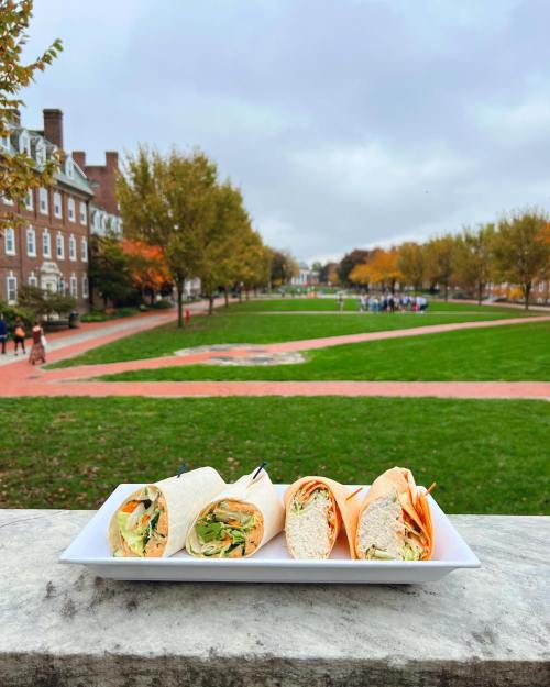 A platter of colorful wraps sits on a stone ledge, with a grassy campus and trees in the background on a cloudy day.