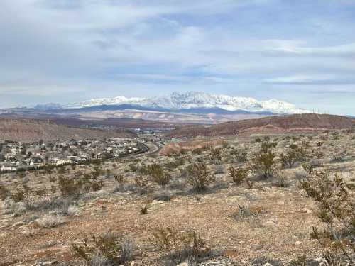 A panoramic view of a valley with sparse vegetation, leading to snow-capped mountains in the distance under a cloudy sky.