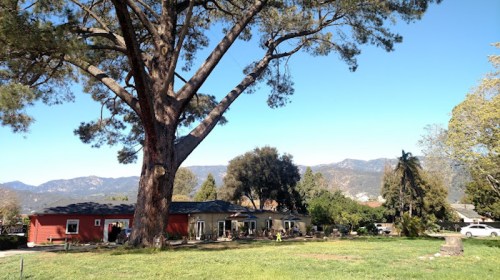 A large tree stands beside a house with a red exterior, surrounded by green grass and mountains in the background.