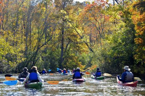 A group of kayakers paddles through a scenic river surrounded by colorful autumn foliage.