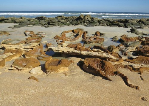 Rocky shoreline with tide pools and sandy beach under a clear blue sky. Waves gently crash in the background.