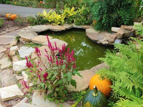 A serene garden pond surrounded by colorful plants and pumpkins, with stone borders and lush greenery.