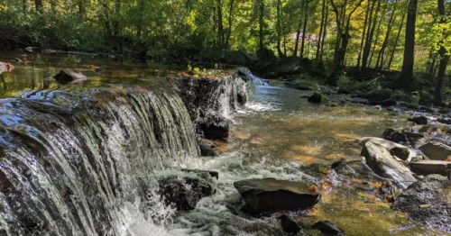 A ledge of water leads to a waterfall that tumbles into a pool with rocks. The water is surrounded by trees.