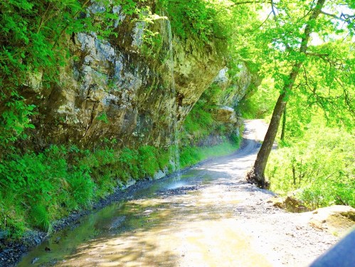 A winding dirt path beside a rocky cliff, surrounded by lush green trees and a small stream of water.