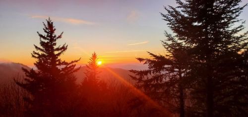 Sunset over mountains, with silhouetted evergreen trees in the foreground and warm orange and yellow hues in the sky.