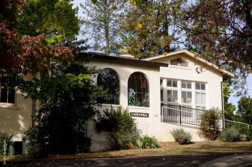 A charming cafeteria building surrounded by trees and greenery, featuring large windows and a welcoming entrance.