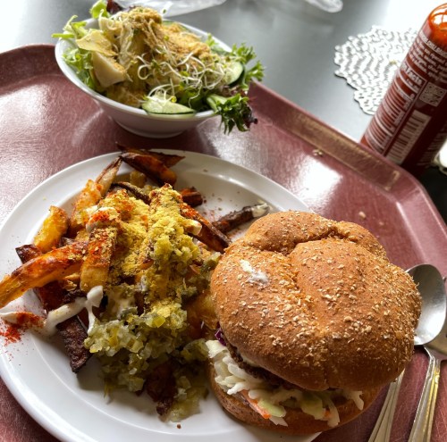 A plate with a sesame seed burger, seasoned fries, and a side salad in a bowl on a tray.