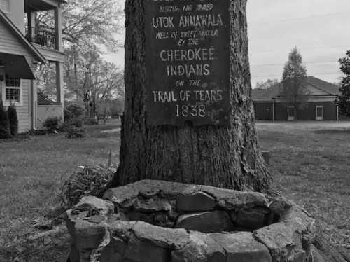 A historic marker on a tree commemorating Utok Annakwala, a well used by Cherokee Indians during the Trail of Tears, 1838.