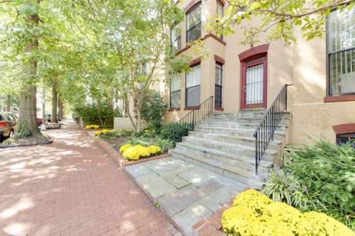 A tree-lined sidewalk with yellow flowers and stone steps leading to a building entrance.