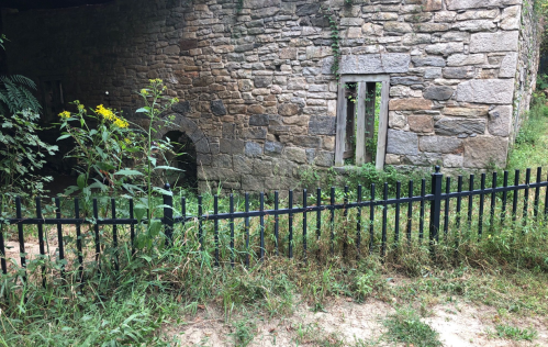 A weathered stone building partially hidden by overgrown grass and plants, with a black metal fence in the foreground.