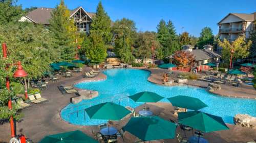 A sunny pool area surrounded by green trees, lounge chairs, and umbrellas, with a lodge in the background.