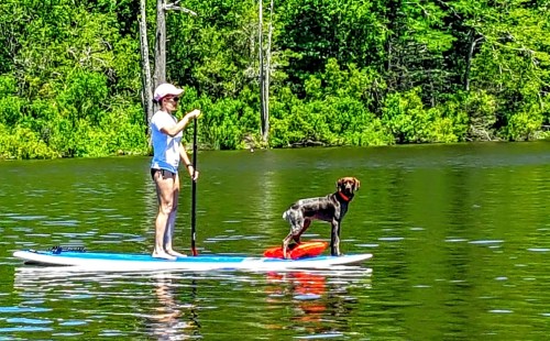 A person stands on a paddleboard with a dog beside them, surrounded by lush greenery and calm water.