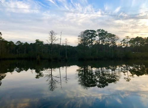 A serene lake reflecting trees and a cloudy sky, creating a peaceful natural scene.