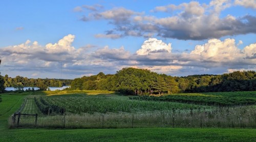 A scenic landscape featuring lush green fields, trees, and a lake under a blue sky with fluffy clouds.