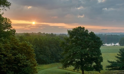 A serene landscape at sunrise, featuring trees and a calm lake in the distance under a cloudy sky.
