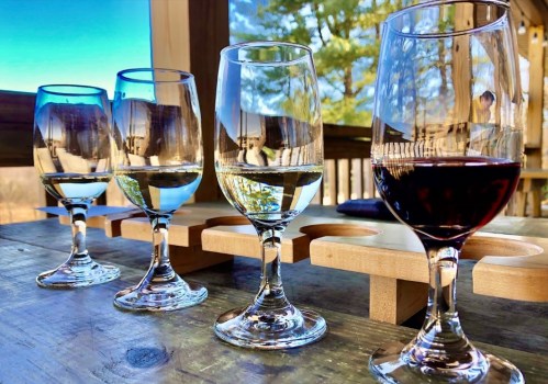 Four wine glasses on a wooden table, two filled with white wine and two with red wine, set against a scenic outdoor backdrop.