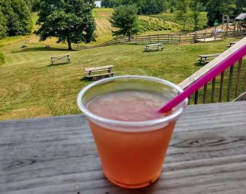 A refreshing drink in a plastic cup with a pink straw, set against a scenic outdoor landscape with picnic tables and greenery.