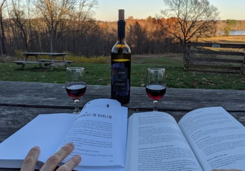A scenic outdoor setting with a bottle of wine, two glasses, and an open book on a wooden table. Autumn foliage in the background.