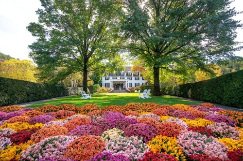 A beautiful garden with vibrant flowers in front of a large white house, framed by tall trees under a clear sky.