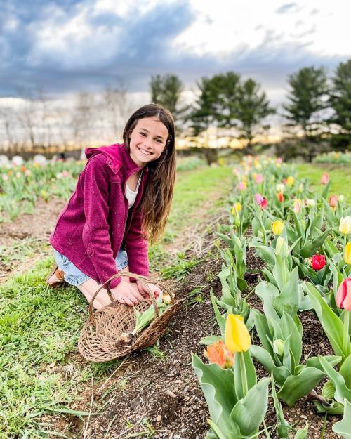 A girl in a pink jacket kneels in a flower field, smiling as she gathers tulips in a basket.