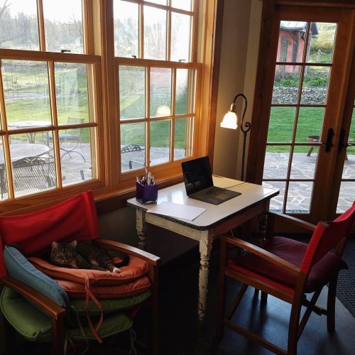 A cozy workspace with a laptop on a table, two chairs, and a cat lounging on a cushion by the window.