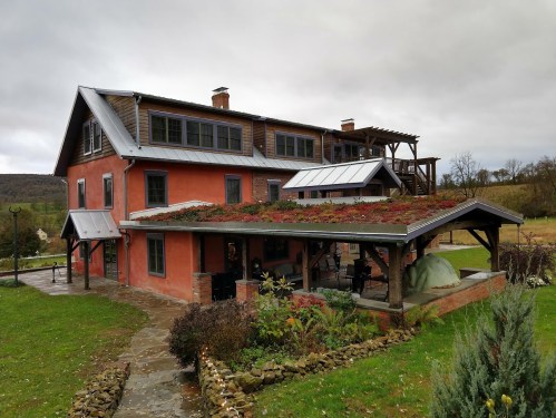 A rustic two-story house with a green roof, surrounded by grass and trees, under a cloudy sky.