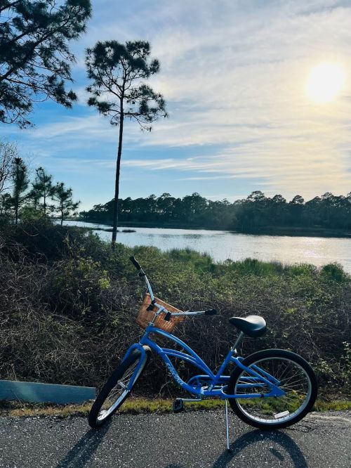 A blue bicycle with a basket parked by a serene lake, surrounded by trees and a bright sky.