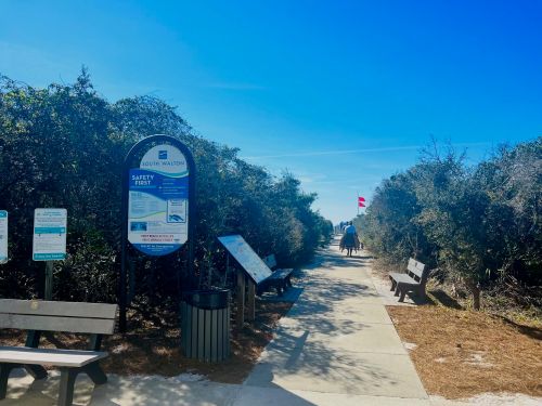 A pathway through greenery leads to the beach, with benches and informational signs on either side under a clear blue sky.