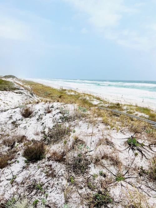 A sandy beach with gentle waves, grassy dunes, and a cloudy sky in the background.