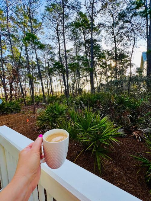 A hand holding a coffee cup in front of a lush forest with tall trees and greenery.