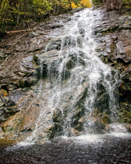 A cascading waterfall flows down a rocky cliff, surrounded by lush greenery and autumn foliage.
