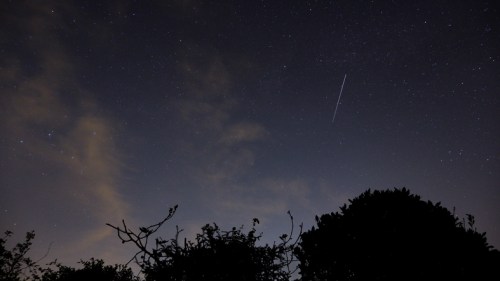A night sky filled with stars and a faint streak of a meteor, silhouetted by dark tree outlines.
