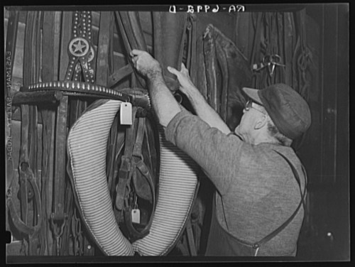 A man inspects and organizes horse harnesses and equipment in a storage area.