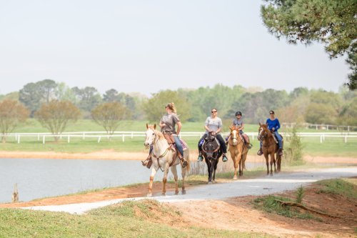 Four riders on horseback stroll along a path by a pond, surrounded by greenery and trees on a sunny day.