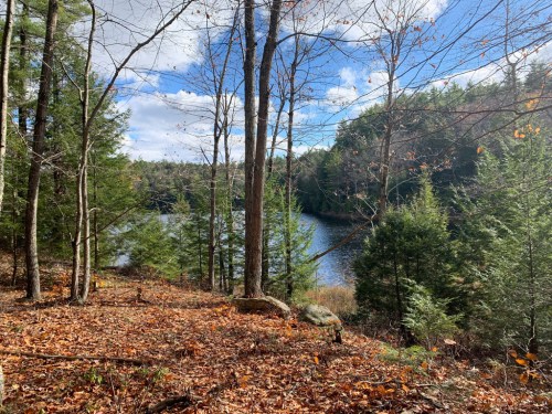 A serene lake surrounded by trees and autumn foliage under a partly cloudy sky.