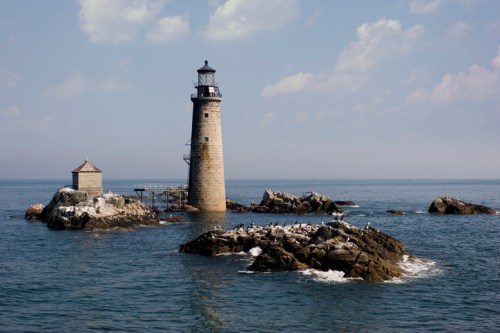 A tall lighthouse stands on rocky shores, surrounded by calm waters and scattered seabirds under a blue sky.
