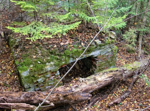 Overgrown brick ruins covered in moss, surrounded by fallen logs and dense greenery in a forested area.