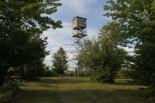 A tall metal observation tower surrounded by trees and a grassy area, with a person walking nearby.