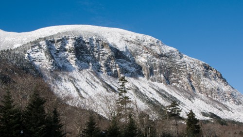 Snow-covered mountain under a clear blue sky, surrounded by trees in the foreground.