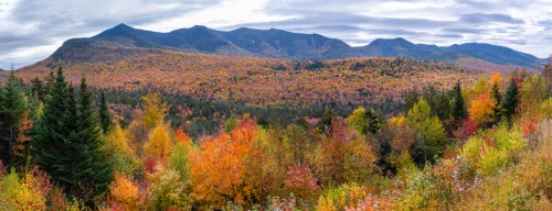 A panoramic view of vibrant autumn foliage with mountains in the background under a cloudy sky.