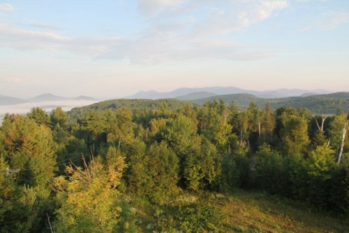 A scenic view of lush green mountains and trees under a clear sky, with mist in the valleys below.