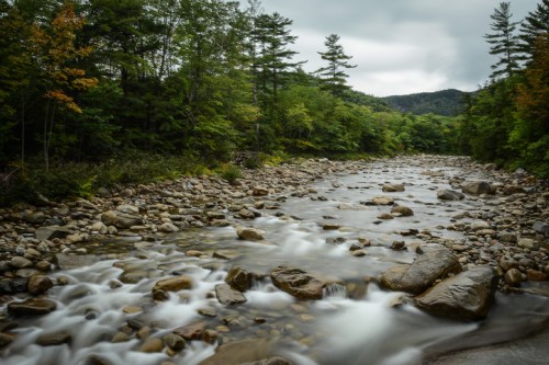 A serene river flows through a rocky bed, surrounded by lush green trees under a cloudy sky.